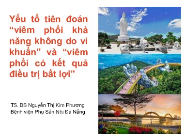Bài giảng Yếu tố tiên đoán “Viêm phổi khả năng không do vi khuẩn” và “Viêm phổi có kết quả điều trị bất lợi”